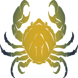 Cancer(Western)